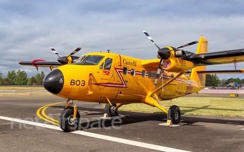 Royal Canadian Air Force De Havilland Canada CC-138 Twin Otter (13803) at  Portland - Hillsboro, United States