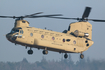 United States Army Boeing CH-47F Chinook (14-08451) at  Nordholz - NAB, Germany