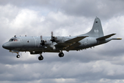 Canadian Armed Forces Lockheed CP-140 Aurora (140112) at  RAF Fairford, United Kingdom
