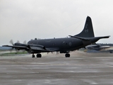 Canadian Armed Forces Lockheed CP-140 Aurora (140117) at  Cologne/Bonn, Germany