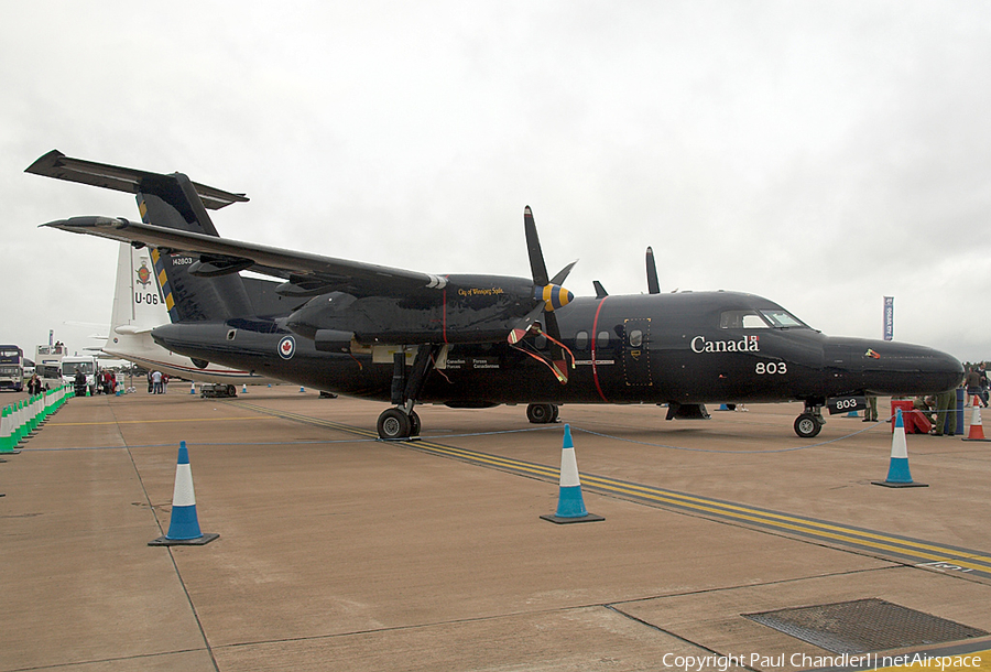 Canadian Armed Forces de Havilland Canada CT-142 (142803) | Photo 79324
