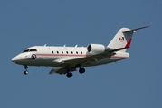 Canadian Armed Forces Bombardier CC-144C Challenger (144618) at  Belfast / Aldergrove - International, United Kingdom