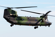 Canadian Armed Forces Boeing CH-147F Chinook (147304) at  RAF Fairford, United Kingdom