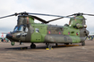 Canadian Armed Forces Boeing CH-147F Chinook (147304) at  RAF Fairford, United Kingdom