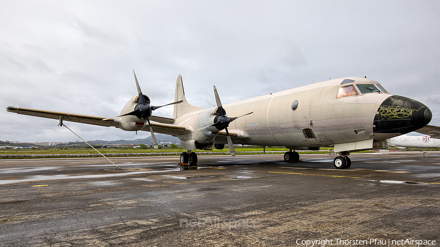 Portuguese Air Force (Força Aérea Portuguesa) Lockheed P-3P Orion (14806) | Photo 238319