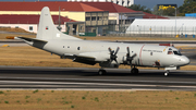Portuguese Air Force (Força Aérea Portuguesa) Lockheed P-3C Orion (14807) at  Lisbon - Portela, Portugal