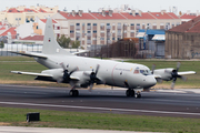 Portuguese Air Force (Força Aérea Portuguesa) Lockheed P-3C Orion (14808) at  Lisbon - Portela, Portugal