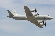 Portuguese Air Force (Força Aérea Portuguesa) Lockheed P-3C Orion (14809) at  Sintra AFB, Portugal