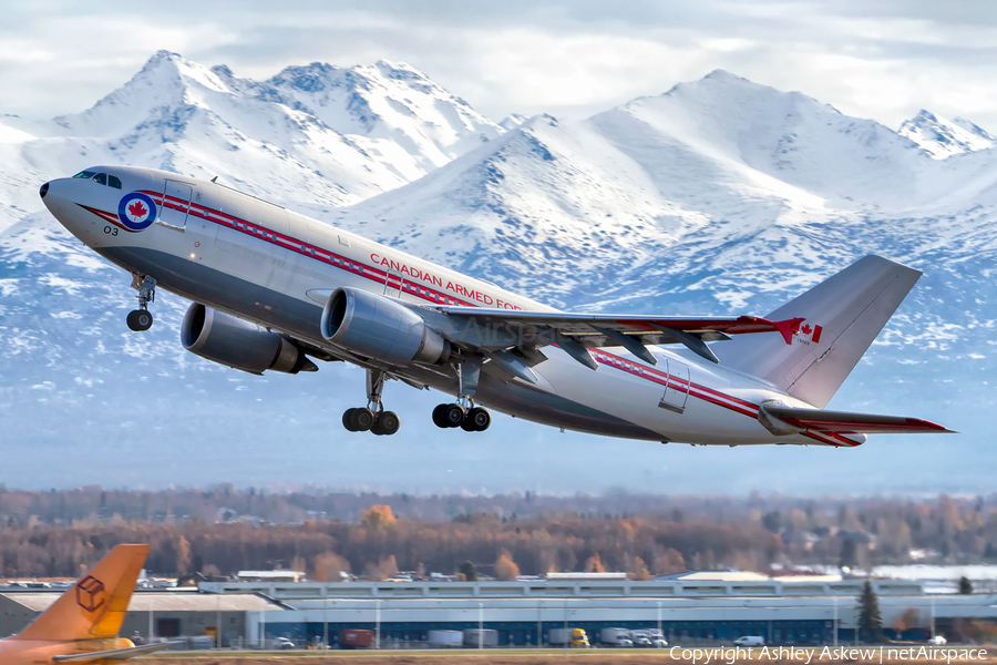 Canadian Armed Forces Airbus CC-150 Polaris (A310-304) (15003) | Photo 371426