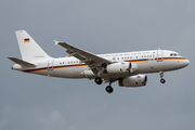 German Air Force (Luftwaffe) Airbus A319-133X CJ (1501) at  Rostock-Laage, Germany