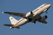 German Air Force Airbus A319-133CJ (1503) at  Hamburg - Fuhlsbuettel (Helmut Schmidt), Germany