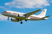 German Air Force Airbus A319-133CJ (1503) at  Hamburg - Fuhlsbuettel (Helmut Schmidt), Germany