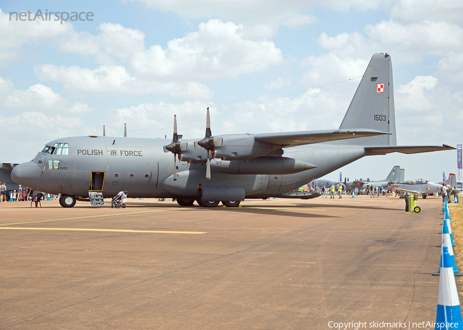Polish Air Force (Siły Powietrzne) Lockheed C-130E Hercules (1503) | Photo 299322