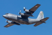 Polish Air Force (Siły Powietrzne) Lockheed C-130E Hercules (1504) at  Zaragoza, Spain