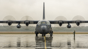 Polish Air Force (Siły Powietrzne) Lockheed C-130E Hercules (1505) at  Powidz, Poland