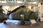 United States Navy Sikorsky UH-34D Seahorse (150553) at  Alameda - USS Hornet Museum, United States