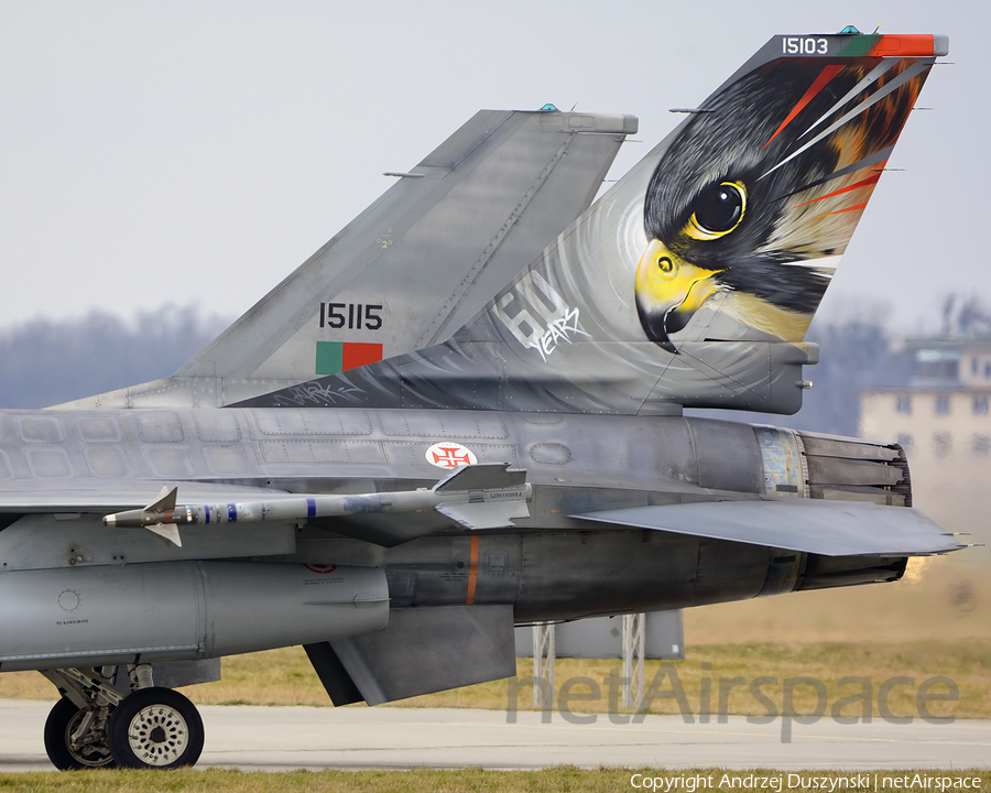 Portuguese Air Force (Força Aérea Portuguesa) General Dynamics F-16AM Fighting Falcon (15103) | Photo 300484