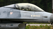 Portuguese Air Force (Força Aérea Portuguesa) General Dynamics F-16A Fighting Falcon (15117) at  Monte Real AFB, Portugal