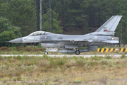 Portuguese Air Force (Força Aérea Portuguesa) General Dynamics F-16A Fighting Falcon (15117) at  Monte Real AFB, Portugal