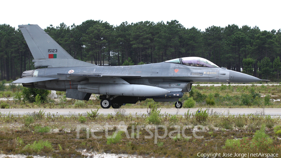Portuguese Air Force (Força Aérea Portuguesa) General Dynamics F-16AM Fighting Falcon (15123) | Photo 527214