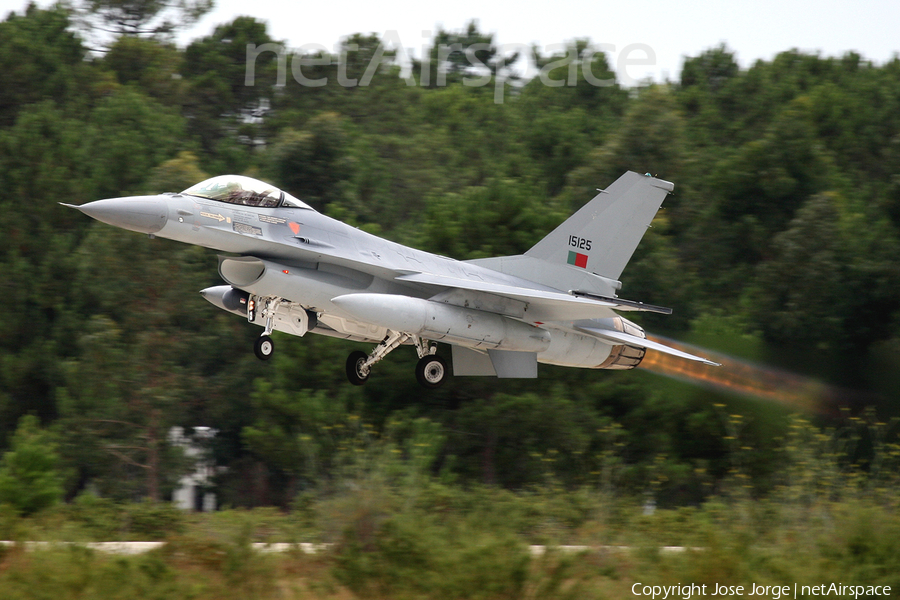 Portuguese Air Force (Força Aérea Portuguesa) General Dynamics F-16AM Fighting Falcon (15125) | Photo 526994