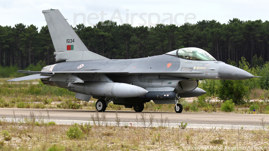 Portuguese Air Force (Força Aérea Portuguesa) General Dynamics F-16AM Fighting Falcon (15134) | Photo 526989