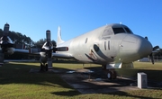 United States Navy Lockheed P-3A Orion (151374) at  Jacksonville - NAS, United States