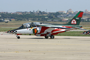 Portuguese Air Force (Força Aérea Portuguesa) Dassault-Dornier Alpha Jet A (15202) at  Sintra AFB, Portugal