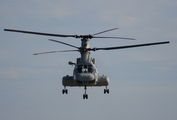 United States Marine Corps Boeing-Vertol CH-46E Sea Knight (153980) at  Witham Field, United States