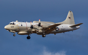 United States Navy Lockheed EP-3E Aries II (156529) at  Whidbey Island - Naval Air Station, United States