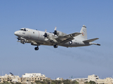 United States Navy Lockheed P-3C Orion (157319) at  Luqa - Malta International, Malta