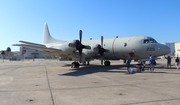 United States Navy Lockheed P-3C Orion (158225) at  Jacksonville - NAS, United States