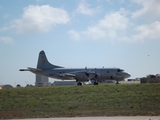 United States Navy Lockheed P-3C Orion (159507) at  Luqa - Malta International, Malta