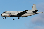 French Navy (Aéronavale) Breguet Br.1150 Atlantique 2 (16) at  Nordholz - NAB, Germany