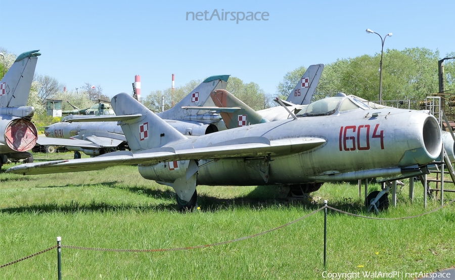 Polish Air Force (Siły Powietrzne) PZL-Mielec Lim-5 (MiG-17F) (1604) | Photo 447063