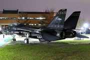 United States Navy Grumman NF-14A Tomcat (160658) at  Lakehurst NAES - Maxfield Field, United States