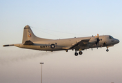United States Navy Lockheed P-3C Orion (161767) at  Luqa - Malta International, Malta