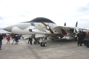 United States Navy Grumman F-14A Tomcat (161863) at  Jacksonville - NAS, United States