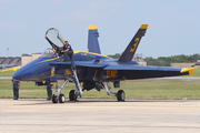 United States Navy McDonnell Douglas F/A-18A Hornet (161967) at  Joint Base Andrews Naval Air Facility, United States