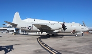 United States Navy Lockheed P-3C Orion (162770) at  Jacksonville - NAS, United States