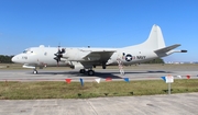 United States Navy Lockheed P-3C Orion (162770) at  Jacksonville - NAS, United States