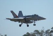 United States Navy McDonnell Douglas F/A-18A+ Hornet (162834) at  Daytona Beach - Regional, United States