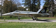 United States Navy McDonnell Douglas F/A-18A Hornet (162838) at  Arnold AFB, United States