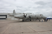 United States Navy Lockheed P-3C AIP Orion (162999) at  Jacksonville - NAS, United States