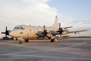 United States Navy Lockheed P-3C Orion (163003) at  Luqa - Malta International, Malta