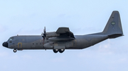 Royal Saudi Air Force Lockheed C-130H-30 Hercules (1631) at  Luqa - Malta International, Malta