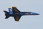 United States Navy McDonnell Douglas F/A-18A Hornet (163130) at  Joint Base Andrews Naval Air Facility, United States