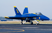 United States Navy McDonnell Douglas F/A-18A Hornet (163130) at  Tampa - MacDill AFB, United States