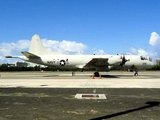 United States Navy Lockheed P-3C Orion (163290) at  San Juan - Luis Munoz Marin International, Puerto Rico