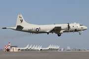 United States Navy Lockheed P-3C Orion (163290) at  Jacksonville - NAS, United States